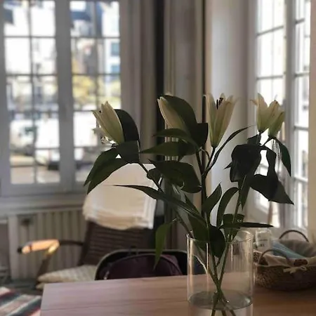 Lumineux Au Coeur De Daire