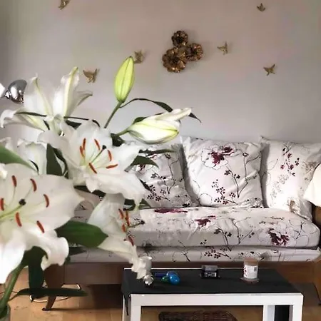 Lumineux Au Coeur De Apartment Dieppe